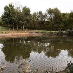 Fishery Management: The Risk of Predation
