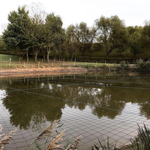 Fishery Management: The Risk of Predation