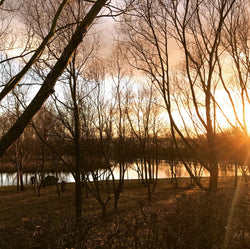 Which lake should I fish at Picks Cottage Fishery?