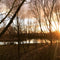 Which lake should I fish at Picks Cottage Fishery?