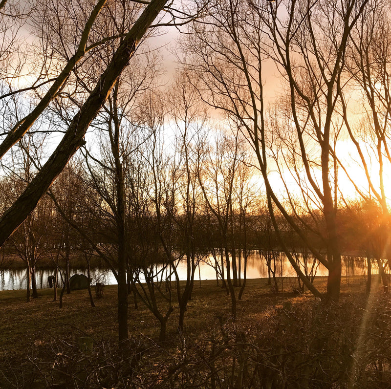 Which lake should I fish at Picks Cottage Fishery?