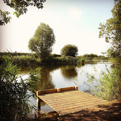The 2018 review at Picks Cottage Fishery