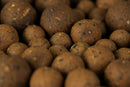 Bloodworm Boilies (Shelflife)