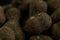 Bloodworm Dumbells (Sinking)