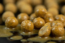 Manilla Boilies (Shelflife)