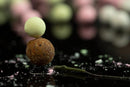 Signature Pop Ups